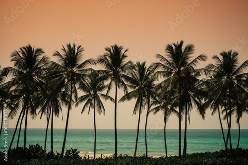 Fototapeta Naklejka Na Ścianę i Meble -  Vintage beach scene with palm tree silhouettes and summer sky