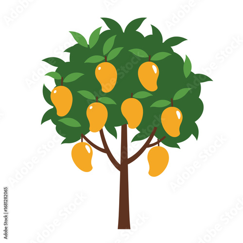 Mango Tree with Ripe Fruits