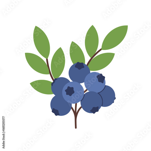 Blueberry Bunch with Leaves