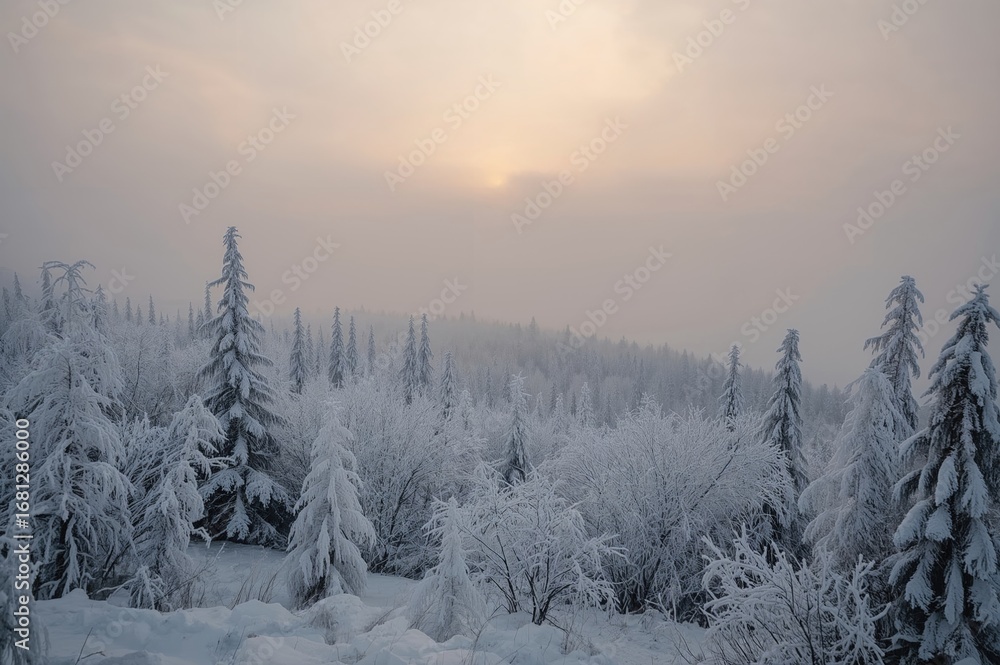 Obraz premium Frozen Trees on a Mountain Veiled by Mist and Clouds in a Winter Scene