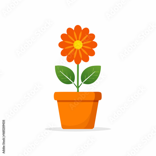 Orange Blume