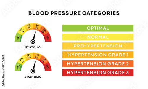 Blood pressure systolic and diastolic charts as dial dashboards with arrows. Hypertension test infographic tool isolated on white background. Vector flat illustration