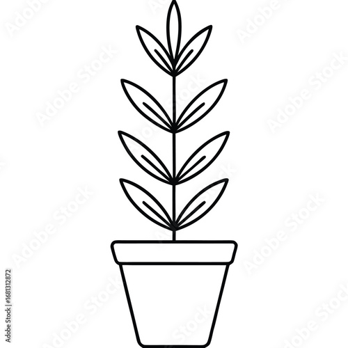 Vector art of simple line art illustration of a potted plant with leaves growing upwards, isolated on a