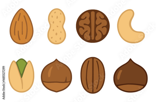 Illustrated variety of nuts including almond, peanut, walnut, cashew, pistachio, hazelnut, pecans, chestnut