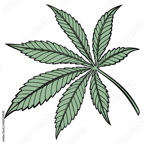 A stylized illustration of a single green cannabis leaf with black outlines on a white background