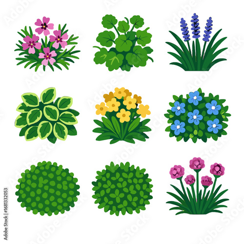 Subulata icon charlie carpet tears baby vector icons lilyturf groundcover sea green