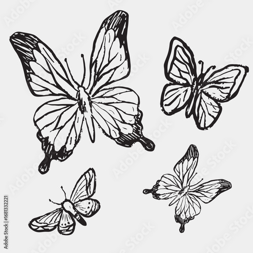 Hand-drawn sketch of four butterflies, symbolizing nature, spring, and freedom. Vintage vector sketch illustration. Nature drawing, animals design. Print, clothes