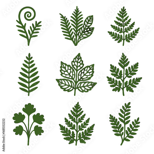 Maidenhair icon whorl tufted brake ferns vector polystichum hairgrass collection fern forest