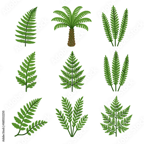 Creeping cliff fern western lace icon beaded forest feather collection vector ostrich