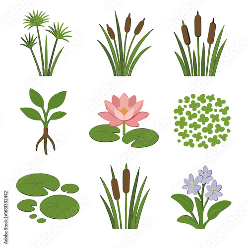 Bulrush water swamp blooms mats icons pad vector icon vegetation papyrus flowers