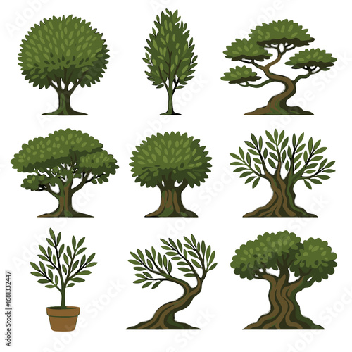 Diverse icon dense sprawling round short olive tree tall potted vector