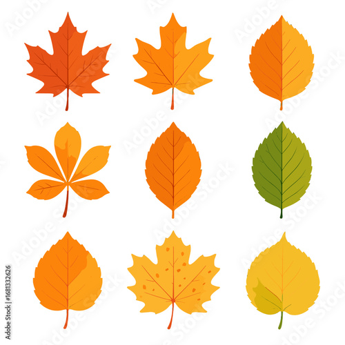 Tinted leaf gradient ombre icon elm chestnut sycamore aspen vibrant autumn vector