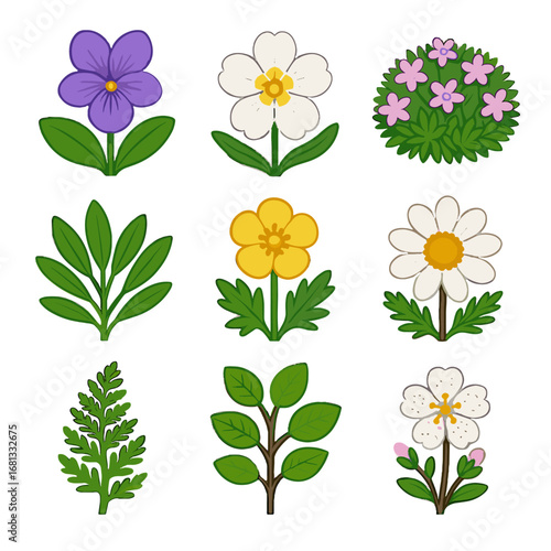 Icon vector avens blooms snow creeping dwarf plant mountain birch heads glacier