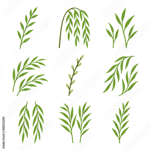 Arching twigs green sprigs long vector branch buds icon hanging willow