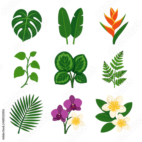 Bracts icons palm icon leaves oil rainforest plant vine vector upright calathea