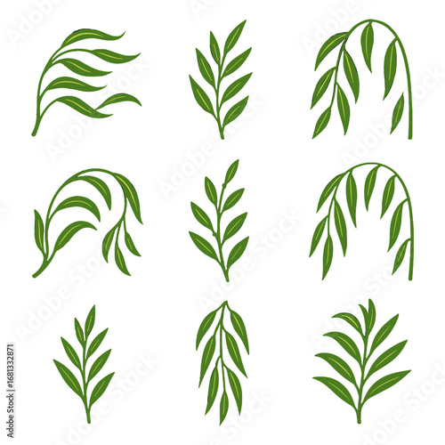 Vector willow icon windy leaves branches boughs drooping delicate branch green