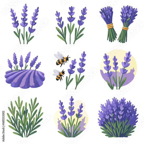 Foliage blossoms cuttings spikes icon bushes twine lavender collection sunlight vector fields