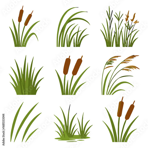 Collection tall patches leaves rushes grass thin green reeds icon vector stems