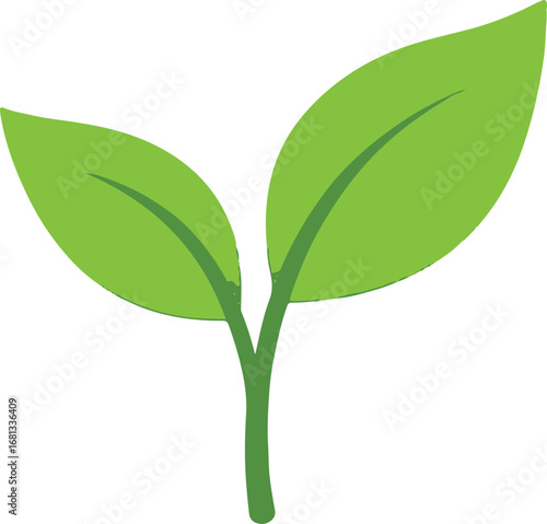 Young green sprout plant growth nature botany spring season healthy new beginning life