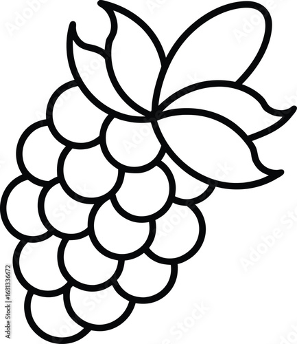Vector art of a simple black and white line drawing of a bunch of grapes with leaves, isolated on a, perfect for educational materials or design elements