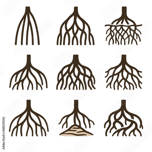 Icon mangrove long roots vector outward channel knotted root entangled aerial