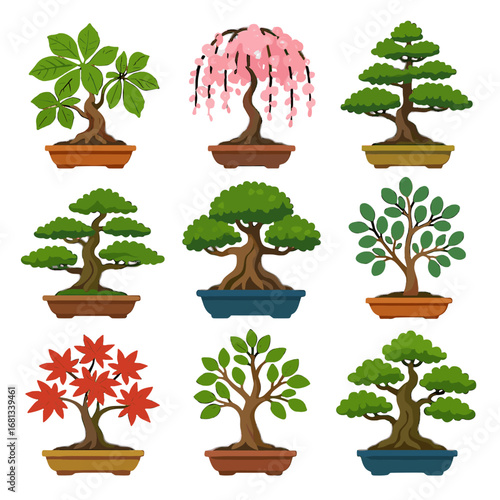 Lebanon dwarf vector eucalyptus weeping cherry bonsai tree icon banyan cedar collection