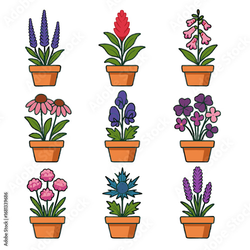 Oxalis celosia grid penstemon sea echinacea pot monkshood icon vector potted flower