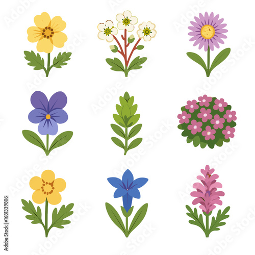Vector buttercup flora gentian cinquefoil alpine sedum snow icon flower glacier