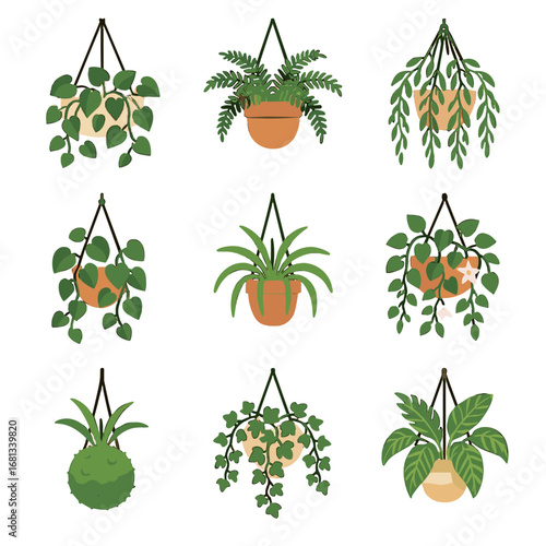 Icon ball hanging macrame decorative planters moss plant vector vectors baskets foliage