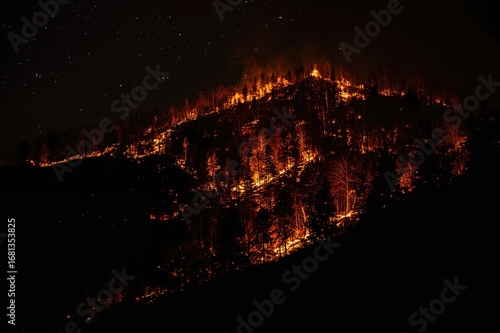Nighttime forest fire on a ...