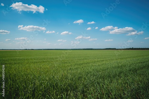 Scenic view of a clear blue...