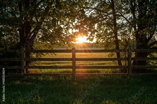 A peaceful evening view wit...