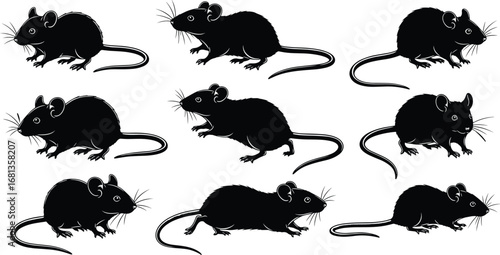 Mouse silhouettes, black rodents, animal poses, isolated on white, stylized mice, whiskers, long tails, biology, behavior, vector illustration