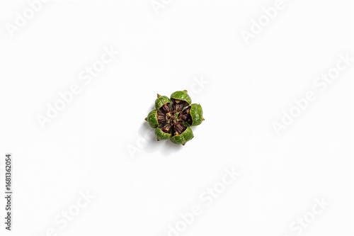 Various peppers on a white ...