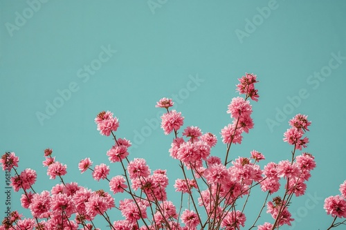Mint sky adorned with pink ...