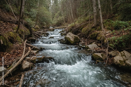 Fast-moving creek surrounde...
