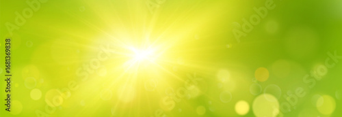 Bokeh Background on Green Summer Backdrop with Soft Blur and Light Effect. Fresh Natural Abstract Overlay with Glowing Circles and Sunlight Particles for Seasonal or Eco Design Projects	