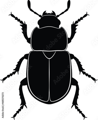 Black beetle vector illustration insect pest control design