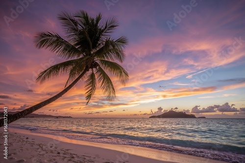 Silhouette of a palm tree s...