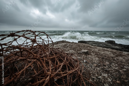 Aged Corroded Barbed Wire S...