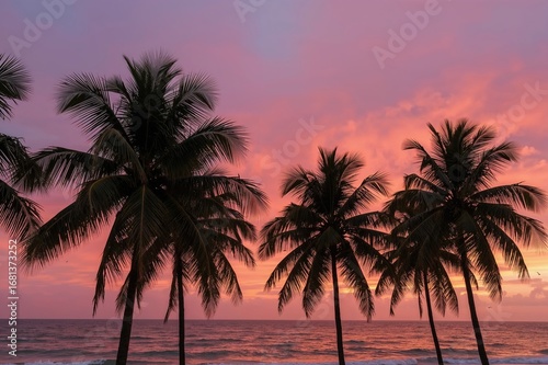 Sunset Silhouettes of Palm ...