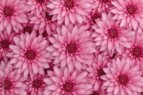 Creative floral design feat...