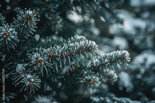 Winter holiday banner featu...