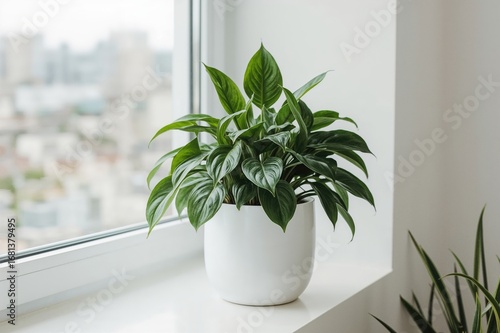 Illuminate Your Office with...