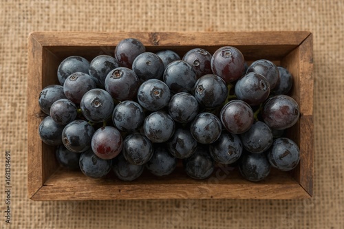 A cluster of ripe black gra...