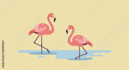 Flamingos Standing Together in Shallow Water