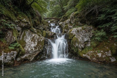 A tranquil cascade flows over mossy stones amidst vibrant foliage and ferns, forming a calm nature sanctuary.