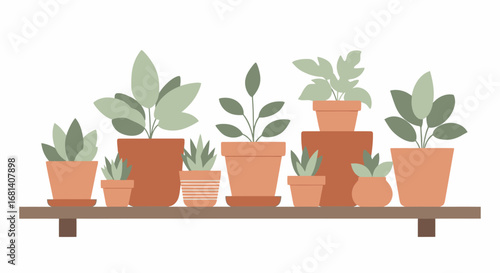 Collection of Various Houseplant Potted Plants on Wooden Shelf for Home Decor and Indoor Gardening Inspirational Design for Eco-Friendly Lifestyle or Botanical Enthusiasts