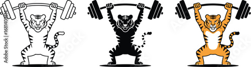 Cartoon tiger lifting barbell in three different color styles