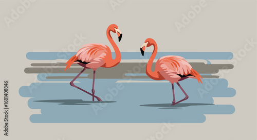 Flamingos Standing in Water
